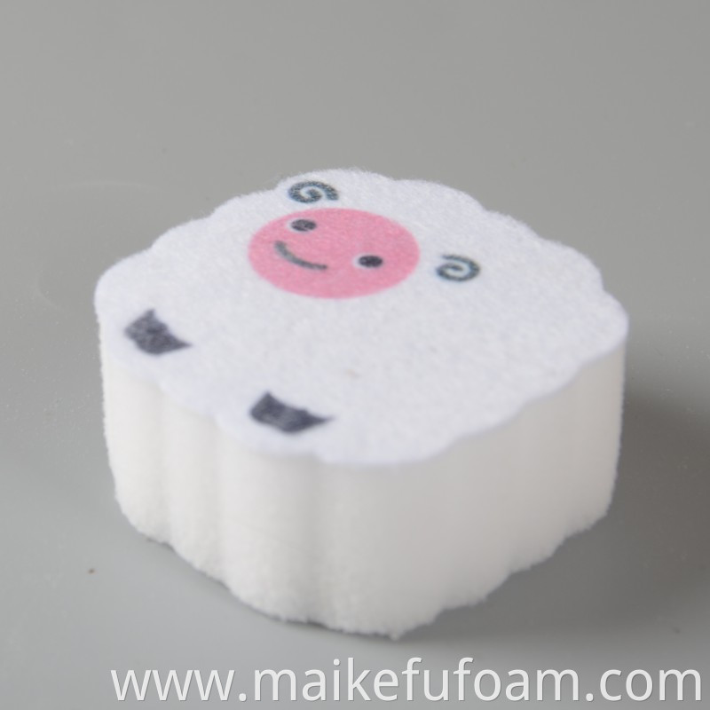 Printed Magic Sponge